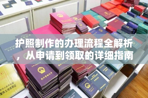 鸠江护照制作的办理流程全解析，从申请到领取的详细指南